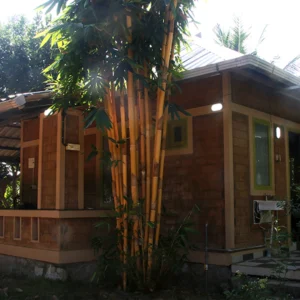 rear-rc